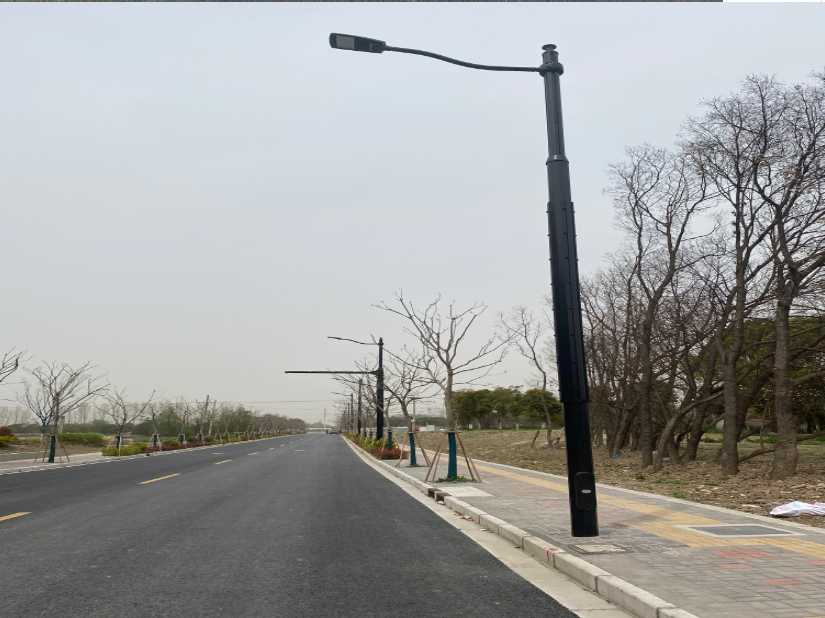 洛南县上海综合杆 太阳能路灯工程